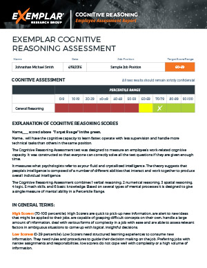 ERG_Example_Test-Results_Cognitive_Reasoning